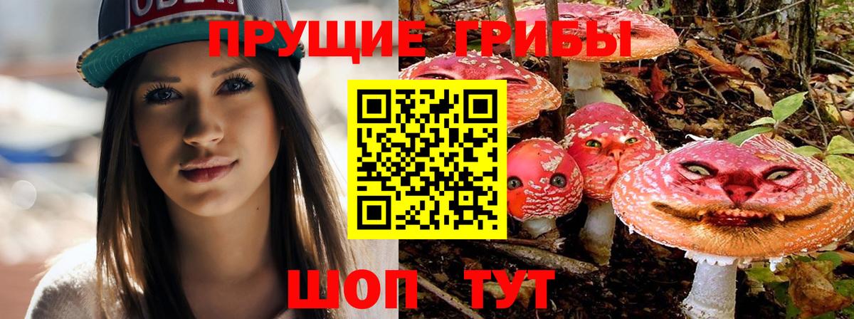 Заречный  Галлюциногенные грибы ЛСД  Вход с VPN  Псилоцибиновые грибы MAGIC MUSHROOMS 